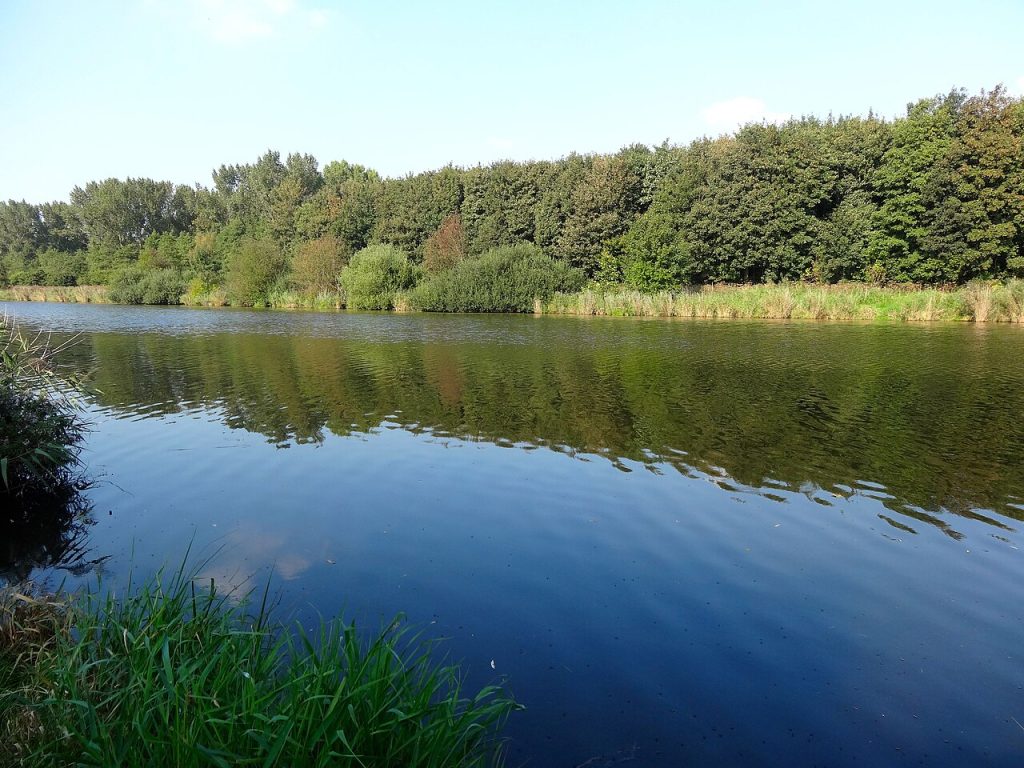 Libelle Zomerweek in Almere