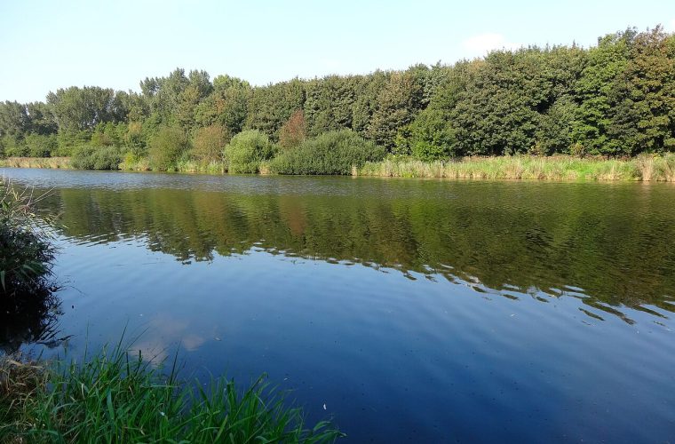 Libelle Zomerweek in Almeerderhout: vrouwenevenement met shoppen, optredens en workshops in groen Almere