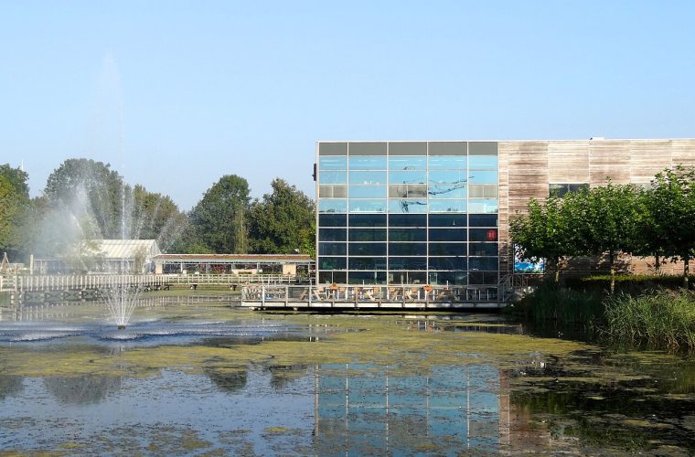 Almere — kemphaan