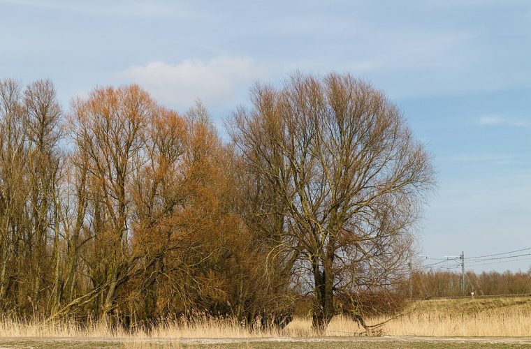 Almere — oostvaarders