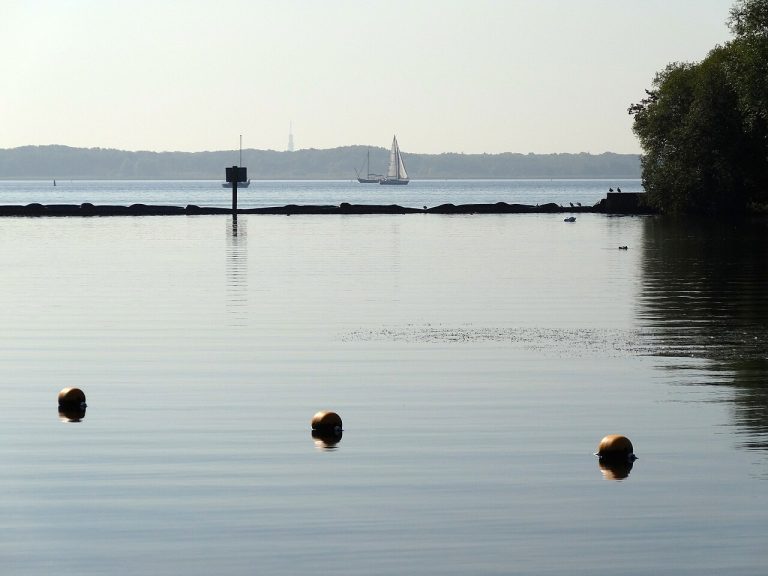 Almere Triathlon — Sport in Almere