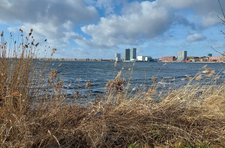Openluchtfestival op het Weerwater in Almere met muziekacts op het podium aan de Esplanade, publiek en waterfront op achtergrond.