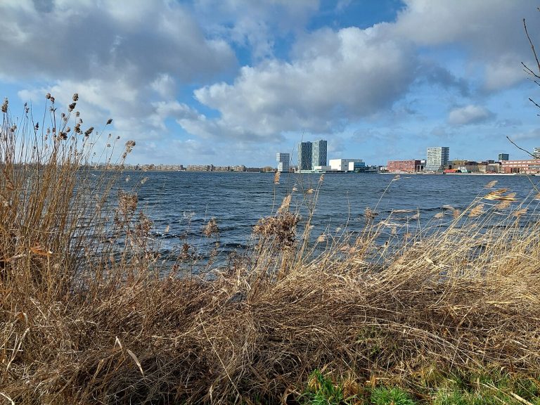 Festival op het Weerwater — Festivals in Almere