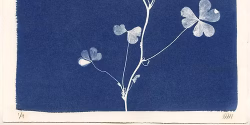 Wilde Vrijdag: Zonneprint maken — familie-kids in Almere