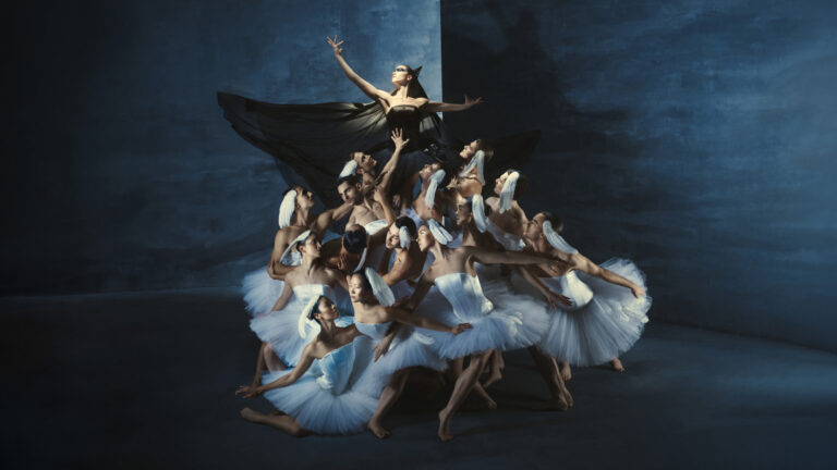 Swan Lake (6-106 jaar) – Introdans — Theater in Almere