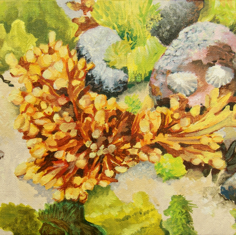Expositie: Waar de zee het land kust — museum-expo in Almere
