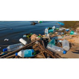 World Cleanup Day 2026 — Natuur in Almere